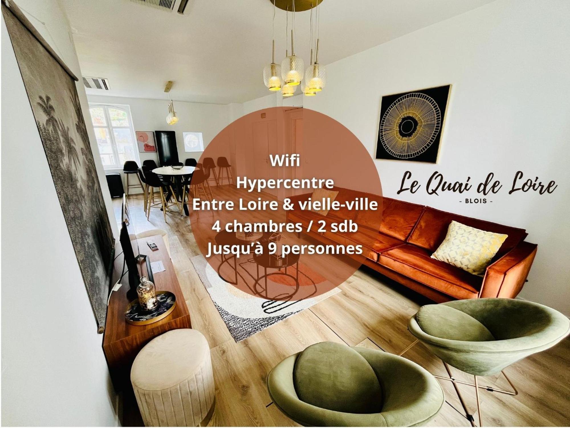 Vue Loire, Hypercentre, Spacieux, Familial, Climatise, Le Quai De Loire Διαμέρισμα Μπλουά Εξωτερικό φωτογραφία